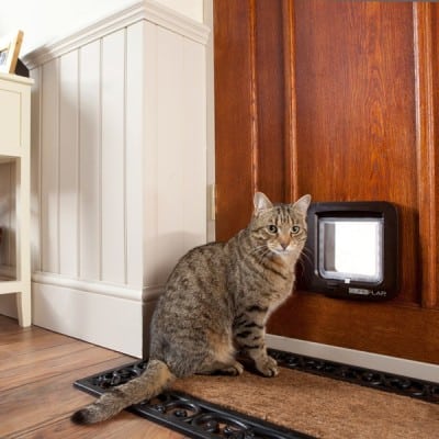 Elektronische Katzenklappe